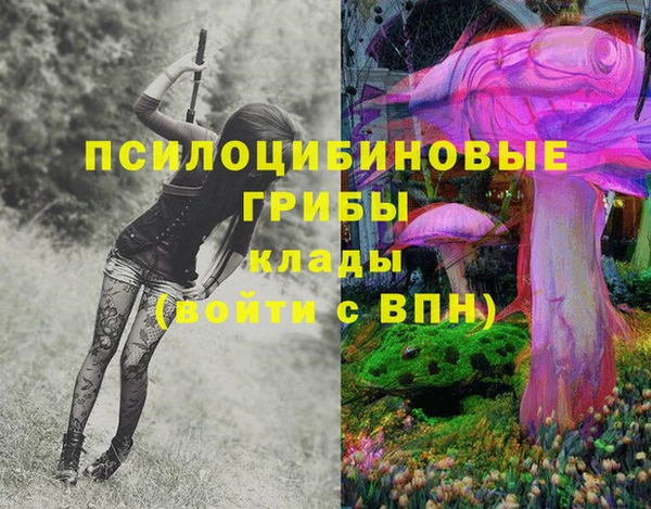 spice Балабаново