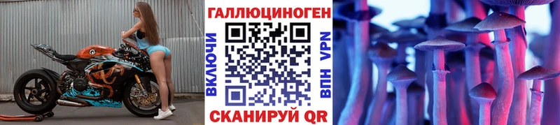 blacksprut ONION  Волжск  Псилоцибиновые грибы Magic Shrooms  дарнет шоп 